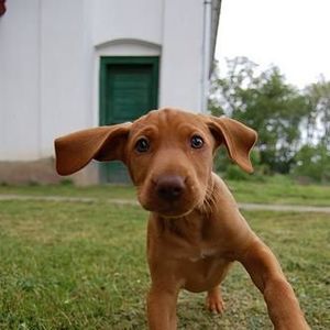 Meet your Posher, Tamara